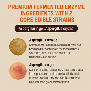 OEM Corea: Polvo de Enzimas de Granos Fermentados, 30 Sobres con Frijol Rojo y Calabaza para Energía y Apoyo Inmunológico en Adultos - Product Image 6