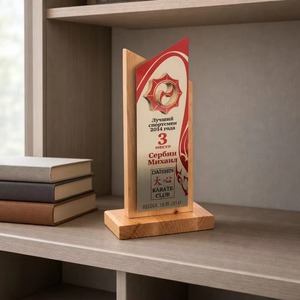 2026 Custom Wooden & <b>Acrylic</b> Pyramid Awards and Trophies with Customized Logo for Insurance Waterproof Laser Engraved - Product Image 2