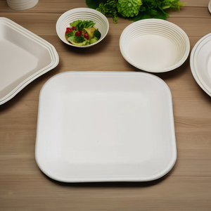 Haute qualité Unique biodégradable Bagasse canne à sucre 1D plateau carré écologique compostable vaisselle jetable pour la fête - Product Image 3