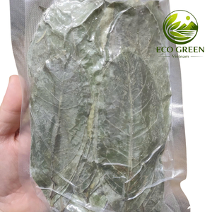 Feuilles de corossol séchées naturelles pour mélange de thé, ingrédient botanique de Graviola pour infusion à base de plantes, en vrac, OEM, usine du Vietnam - Product Image 1