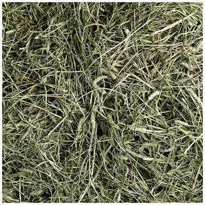 Heno de Alfalfa para Alimentación Animal, Heno de Timothy / Pellets de Heno de Alfalfa / Alfalfa en Fardos de la Mejor Calidad Superior - Product Image 5