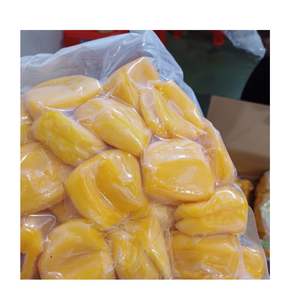 JACKFRUIT CONGELÉ SOUS VIDE - MEILLEUR PRIX DE GROS IQF JACKFRUIT ÉTIQUETTE PERSONNALISÉE BLOC DE JACKFRUIT FROTTÉ FRUIT TROPICAL DU VIETNAM - Product Image 4