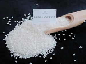Riz japonica de haute qualité pour sushi | Riz blanc à grains courts Vietnam | Idéal pour l'exportation de sushis en gros - Product Image 6