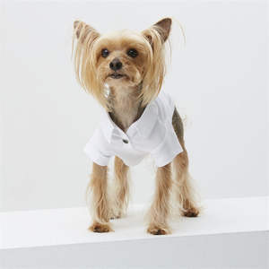 ODM Turn-Down Collar Sólido Blanco Polo Camiseta Perro Con Botón - Product Image 1