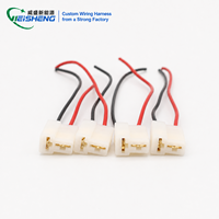 Conector de Cableado Automotriz de 2 Pines para Luces LED de Automóvil