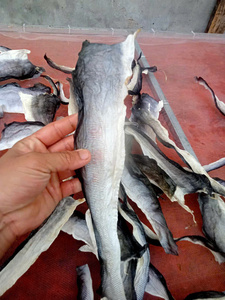 ผิวปลาแห้งแบบพรีเมี่ยมสำหรับสุนัขขนมอบแห้งบาซาและปลาแซลมอนอบแห้ง - Product Image 2