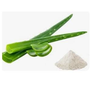 ผงสกัดว่านหางจระเข้ป่า เกรดอาหารเพื่อสุขภาพ สำหรับอาหารเสริมและเครื่องสำอาง-จำหน่ายจำนวนมากและผู้ผลิตแบบ OEM จากประเทศไทย - Product Image 2