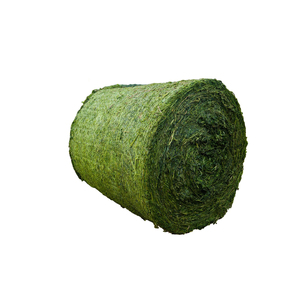 หญ้าโรด/หญ้าอัลฟัลฟา/หญ้าทิโมธี สำหรับอาหารสัตว์ - Product Image 5