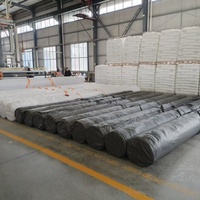 Геомембрана HDPE толщиной 1,5 мм: высокопрочный водонепроницаемый материал для полигонов ТБО и горнодобывающих проектов