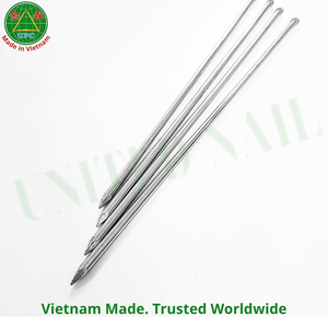 Clavos Comunes de Acero Galvanizado a Granel de 3.7 Pulgadas, Tipo de Vástago Liso, para Muebles y Construcción, Hechos en Vietnam |   clavo de uso general - Product Image 2