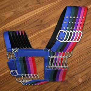 Nuevo Cabestro para Caballo de 1 Pulgada de Ancho, de Alta Calidad, Tejido en Nailon, para Carreras de Resistencia, con Herrajes Metálicos Ajustables y Personalización de Marca - Product Image 3