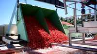 Industriële fruitverwerkingsapparatuur: fruitpers, -pulper, -wasser, -schiller, -snijmachine voor commerciële voedselproductie