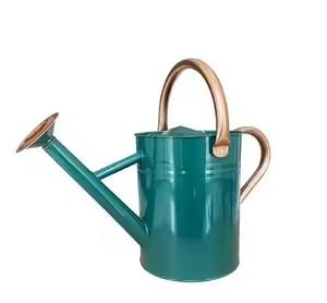 Arrosoir de jardin en métal, pot à eau en acier inoxydable à long bec pour l'entretien des plantes - Product Image 6