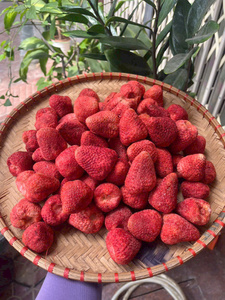 Fraises entières lyophilisées OEM de l'usine du Vietnam pour projets d'emballage de détail, ingrédients alimentaires et distribution internationale - Product Image 1