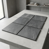 Earthan Nero 600x900mm Carreaux de porcelaine d'extérieur 20mm Heavy Duty pour maison moderne et véranda