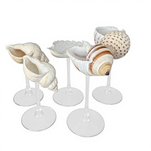 Premium Solid Star Pattern Seashell Wine Glasses with Pearl Finish Dishwasher Safe for Coastal Events & Resorts - Product Image 1