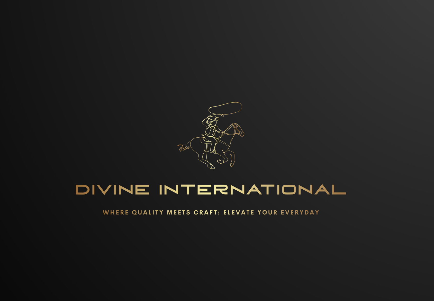 DIVINE INTERNATIONAL logo