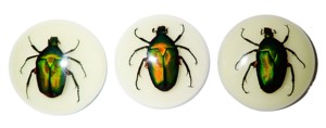 Escarabajo de la Rosa Verde, Espécimen Real en Cabujón de Plástico Redondo de 35x35 mm, Base Plana Brillante para Manualidades y Joyería - Product Image 3