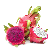Viet Thien Phu Biologisch Rood Drakenfruit Premium Vers 100% Natuurlijk Exotisch Fruit Van Tropische Boerderijen In Vietnam