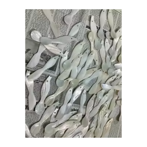 Vietnam Handmade Natural Mother of Pearl Seashell <b>Spoon</b> Decorative Dessert <b>Serving</b> Tableware for Hotels and Gift Stores - Product Image 5