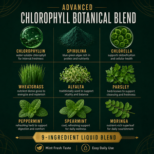 Gouttes de chlorophylle liquide de qualité export avec <span class=keywords><strong>spiruline</strong></span> et persil pour les marchés américains et européens, non-OGM, végétalien, fournisseur en gros - Product Image 2