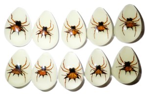 Spiny <b>Spider</b> Real Specimen <b>Plastic</b> Cabochon Pear Shape Cut Top 33x22 mm Glow Flat Bottom for Crafts and Jewelry Making - Product Image 2