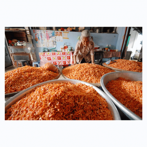กุ้งแห้งคุณภาพพรีเมียม ผลิตในเวียดนาม อาหารทะเลตากแห้ง ผู้จัดจำหน่ายขายส่ง - Product Image 6