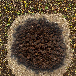 Natural Neem Cake Granules used for natural organic fertilizer to <b>control</b> insect <b>pest</b> in soil and protect roots from damages - Product Image 1