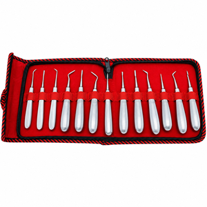 Kit d'élévateurs radiculaires dentaires en acier inoxydable, instruments chirurgicaux manuels, kit de ciseaux parodontaux en métal poli - Product Image 6