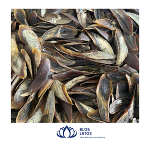 [MEILLEURES VENTES] |   Coquille d'opercule de Murex de la ferme Blue Lotus, matériau rond pour l'extraction d'huiles parfumées, de parfums et d'encens Thanh Hoa - Product Image 1