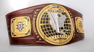Ceinture de championnat de lutte poids lourd personnalisée en laiton et zinc, modèle 2026, très demandée pour le karaté, le taekwondo et le judo - Product Image 2