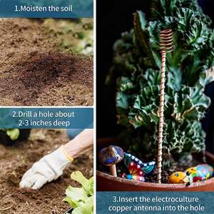 Lot de 6 piquets d'électroculture en cuivre pour jardinage, bâtonnets de culture électrique pour plantes - Product Image 3