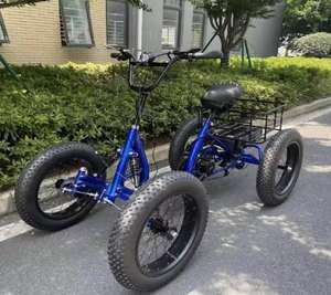 TOP VENTES Vélo électrique tout-terrain léger de haute qualité avec pneus larges - Product Image 1