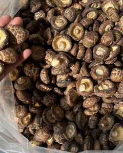 CHAMPIÑONES SHIITAKE SECOS, REBROZADOS Y ENTEROS, MARCA PRIVADA OEM - Product Image 5