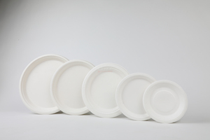 Assiette jetable biodégradable en bagasse de canne à sucre de 10 pouces, sans plastique, non toxique, certifiée ISO, compostable, écologique, sans BPA - Product Image 3