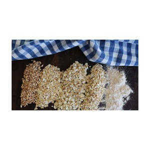 Avena Fresca Orgánica de Primera Calidad Ofrecida a Precio de Mayoreo para Fabricantes y Exportadores de Cereales - Product Image 4