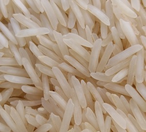 ข้าวบาสมาติเมล็ดสั้นคุณภาพพรีเมียม บรรจุภัณฑ์ขนาดใหญ่ 1121 โกลด์ ต้นกำเนิดจากอินเดีย ข้าวแห้งสำหรับทำบิริยาณี ผลผลิตใหม่ อายุการเก็บรักษายาวนาน - Product Image 1