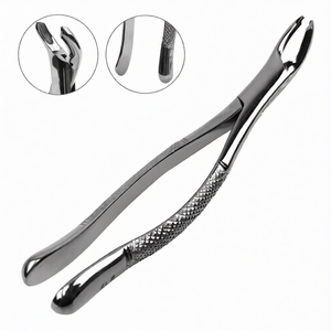 Pinzas de Extracción Dental # Instrumento Quirúrgico Dental de Acero Inoxidable para Extracción de Molares Inferiores 1er y 2do - Product Image 2