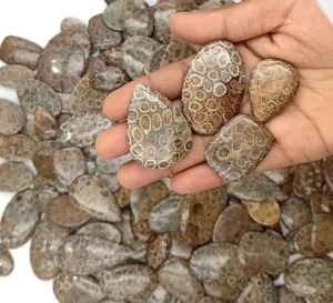 พลอยปะการังฟอสซิลสีน้ำตาลธรรมชาติแบบคาโบชอง คุณภาพสูง สำหรับทำเครื่องประดับ - Product Image 2
