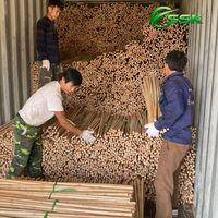 Sikat Lantai Kayu Alami Vietnam Tahan Air, Gagang Kayu, Ramah Lingkungan, Desain Ringan untuk Perabotan