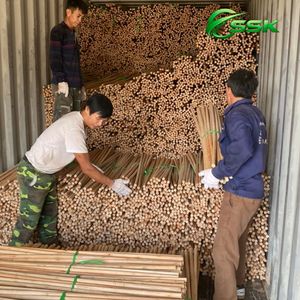 Balai à poussière en bois d'eucalyptus de haute qualité avec tête en PVC et poils festonnés Sskglobal.vn ASIAWOOD Nettoyage facile Vente directe usine - Product Image 3