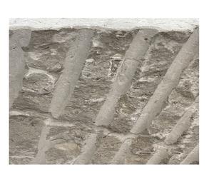 Dalle de pierre naturelle grise en calcaire Aurisina Fioritello, surface texturée, pour revêtement mural, design de façade extérieure - Product Image 3