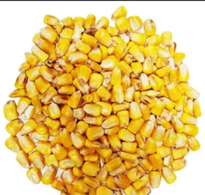 Maïs jaune conventionnel NutriHarvest de qualité supérieure pour l'alimentation du bétail, qualité biologique, durée de conservation de 12 à 18 mois, température normale - Product Image 1