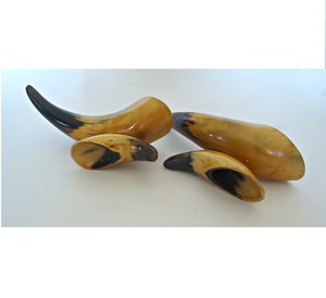 Décoration d'intérieur en véritable corne de buffle, style animalier, polie, haute qualité, faite à la main, pour les fêtes. - Product Image 2
