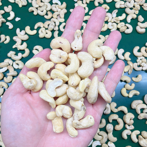 Offre Spéciale : Noix de Cajou Entières et Décortiquées Kaju Cashew en Gros SANTIGO – Faible MOQ - Product Image 1
