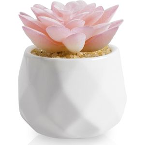 Piccole Piante Succulente Artificiali Rosa in Vaso di Ceramica Bianca, Decorazione per la Casa, Vasi e Fioriere da Interno per Donne - Product Image 1