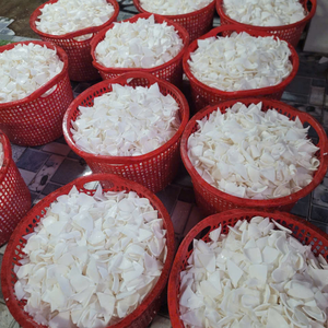 Carne de Coco Congelada IQF de Vietnam de Alta Calidad para Procesamiento de Alimentos y Producción Industrial de Jugos de 99 Gold Data - Product Image 4