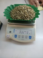 VIETNAM HAUTE QUALITÉ ROBUSTA ARABICA GRAINS DE CAFÉ VERT BON PRIX SCR13/ 16/ 18- WS: + 84-915 355 383