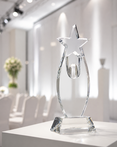Medalla de Estrella de Acrílico y Bronce de Primera Calidad, Premio Duradero para Logros Destacados, Exhibición de Medallas para Eventos de Reconocimiento - Product Image 2