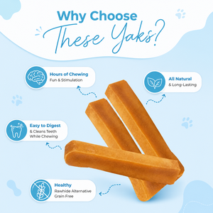 ขนมขบเคี้ยวสำหรับสุนัข นมจามรีหิมาลัยเพื่อสุขภาพ รสชีสพรีเมียม ช่วยดูแลสุขภาพฟัน ย่อยได้นานและเสริมโภชนาการประจำวัน - Product Image 3